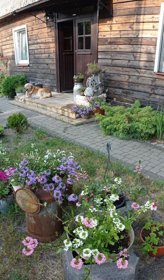 Homestay Stara Szkola Goscinne Leba